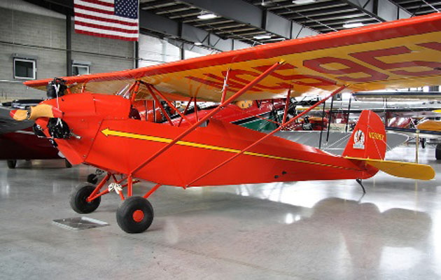 American Eagle Eaglet