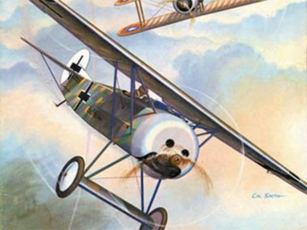 Fokker DVIII Flying Razor