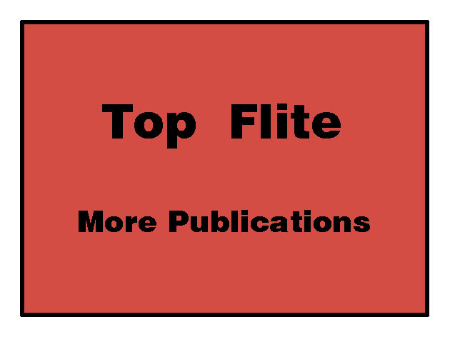 Spitfire IX Review by FM