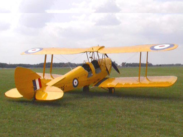 D.H Tiger Moth Giant