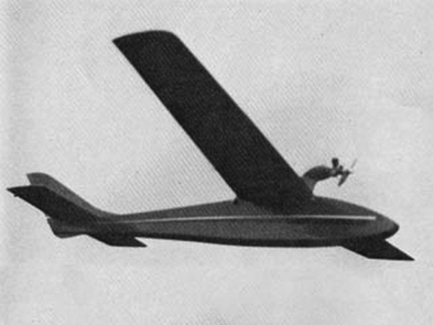Kestrel