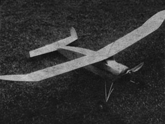 Baby Barnstormer