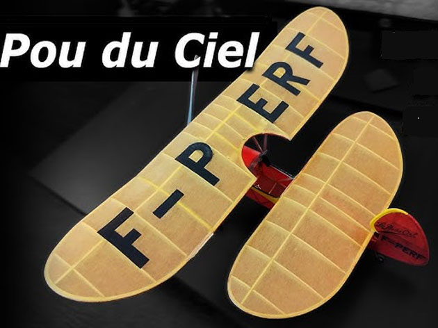 Pou du Ciel